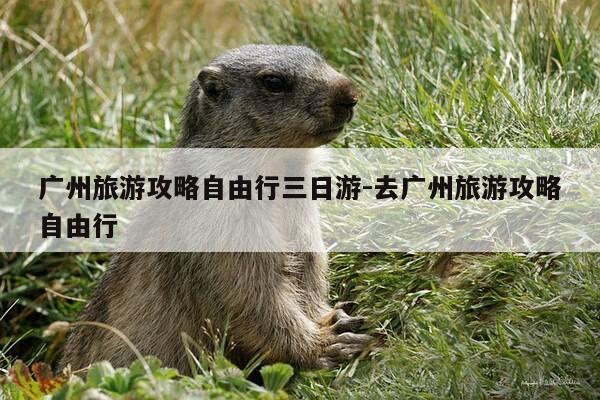 广州旅游攻略自由行三日游-去广州旅游攻略自由行-第1张图片-优惠活动网 广州旅游攻略自由行三日游-去广州旅游攻略自由行-第1张图片-优惠活动网