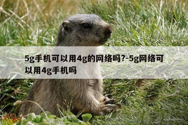 5g手机可以用4g的网络吗?-5g网络可以用4g手机吗-第1张图片-优惠活动网 5g手机可以用4g的网络吗?-5g网络可以用4g手机吗-第1张图片-优惠活动网