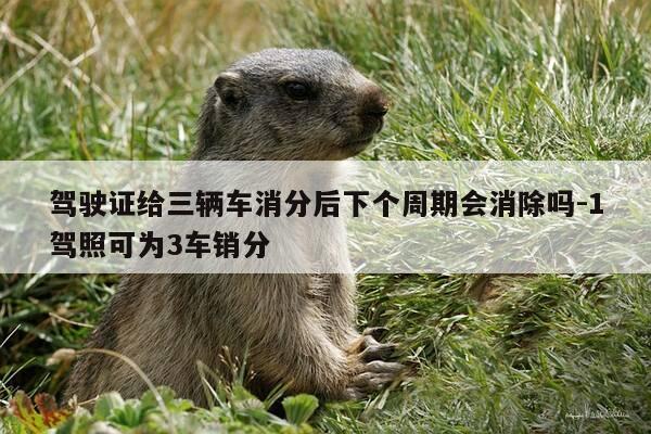 驾驶证给三辆车消分后下个周期会消除吗-1驾照可为3车销分-第1张图片-优惠活动网 驾驶证给三辆车消分后下个周期会消除吗-1驾照可为3车销分-第1张图片-优惠活动网