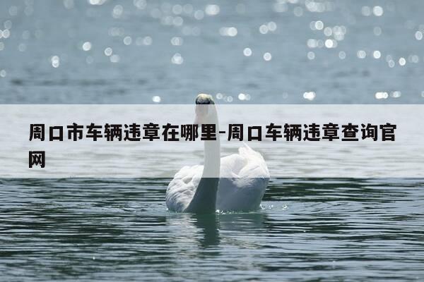 周口市车辆违章在哪里-周口车辆违章查询官网-第1张图片-优惠活动网 周口市车辆违章在哪里-周口车辆违章查询官网-第1张图片-优惠活动网