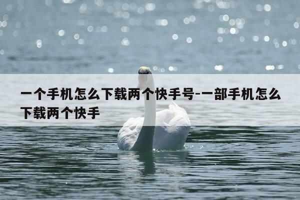一个手机怎么下载两个快手号-一部手机怎么下载两个快手-第1张图片-优惠活动网 一个手机怎么下载两个快手号-一部手机怎么下载两个快手-第1张图片-优惠活动网