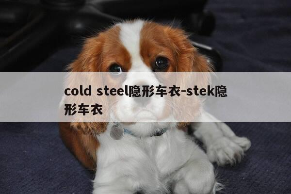 cold steel隐形车衣-stek隐形车衣-第1张图片-优惠活动网 cold steel隐形车衣-stek隐形车衣-第1张图片-优惠活动网