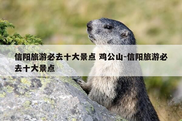 信阳旅游必去十大景点 鸡公山-信阳旅游必去十大景点-第1张图片-优惠活动网 信阳旅游必去十大景点 鸡公山-信阳旅游必去十大景点-第1张图片-优惠活动网