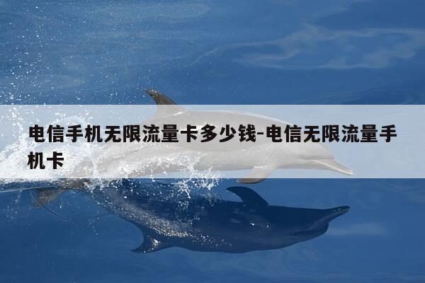 电信手机无限流量卡多少钱-电信无限流量手机卡-第1张图片-优惠活动网 电信手机无限流量卡多少钱-电信无限流量手机卡-第1张图片-优惠活动网