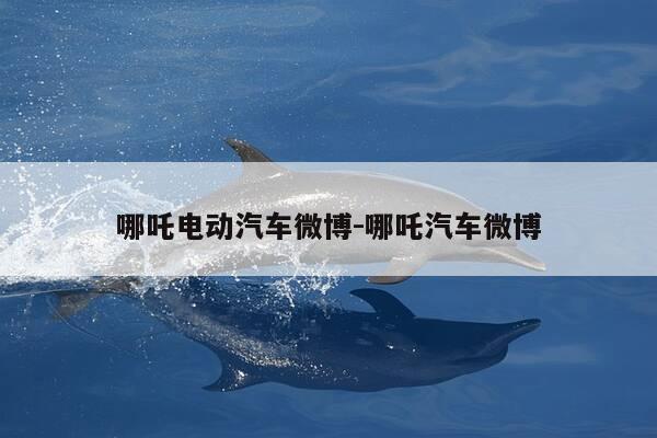 哪吒电动汽车微博-哪吒汽车微博-第1张图片-优惠活动网 哪吒电动汽车微博-哪吒汽车微博-第1张图片-优惠活动网