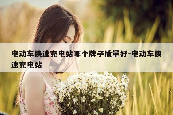 电动车快速充电站哪个牌子质量好-电动车快速充电站-第1张图片-优惠活动网 电动车快速充电站哪个牌子质量好-电动车快速充电站-第1张图片-优惠活动网