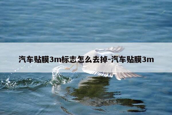 汽车贴膜3m标志怎么去掉-汽车贴膜3m-第1张图片-优惠活动网 汽车贴膜3m标志怎么去掉-汽车贴膜3m-第1张图片-优惠活动网