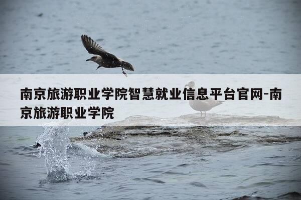 南京旅游职业学院智慧就业信息平台官网-南京旅游职业学院-第1张图片-优惠活动网 南京旅游职业学院智慧就业信息平台官网-南京旅游职业学院-第1张图片-优惠活动网