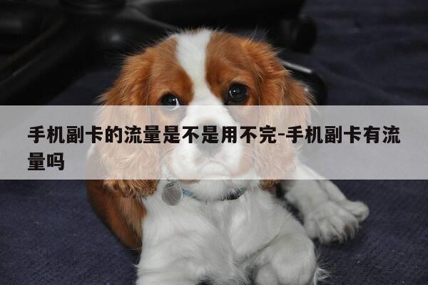 手机副卡的流量是不是用不完-手机副卡有流量吗-第1张图片-优惠活动网