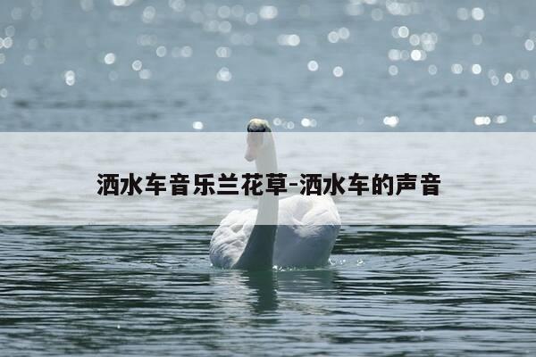 洒水车音乐兰花草-洒水车的声音-第1张图片-优惠活动网 洒水车音乐兰花草-洒水车的声音-第1张图片-优惠活动网