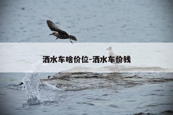 洒水车啥价位-洒水车价钱-第1张图片-优惠活动网