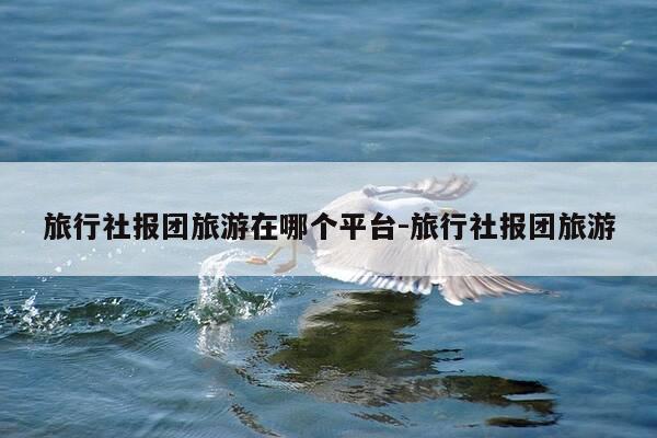 旅行社报团旅游在哪个平台-旅行社报团旅游-第1张图片-优惠活动网 旅行社报团旅游在哪个平台-旅行社报团旅游-第1张图片-优惠活动网