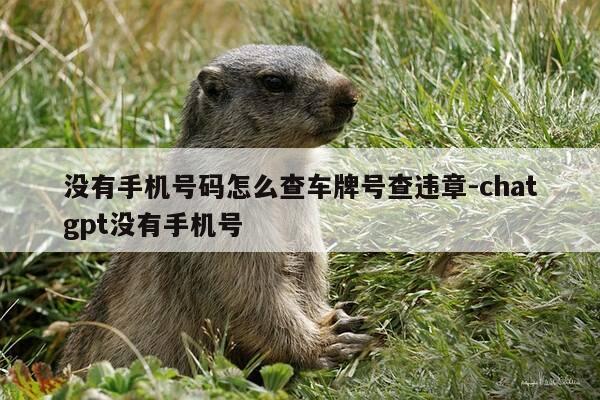 没有手机号码怎么查车牌号查违章-chatgpt没有手机号-第1张图片-优惠活动网 没有手机号码怎么查车牌号查违章-chatgpt没有手机号-第1张图片-优惠活动网