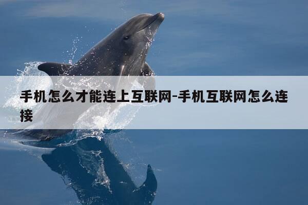 手机怎么才能连上互联网-手机互联网怎么连接-第1张图片-优惠活动网 手机怎么才能连上互联网-手机互联网怎么连接-第1张图片-优惠活动网