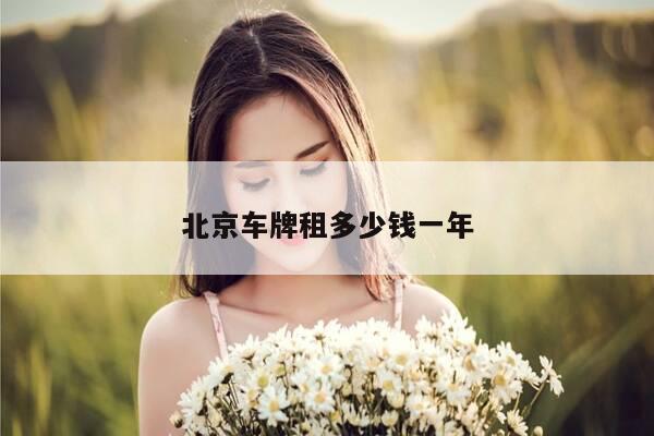 北京车牌租多少钱一年-第1张图片-优惠活动网 北京车牌租多少钱一年-第1张图片-优惠活动网