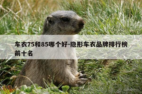 车衣75和85哪个好-隐形车衣品牌排行榜前十名-第1张图片-优惠活动网 车衣75和85哪个好-隐形车衣品牌排行榜前十名-第1张图片-优惠活动网