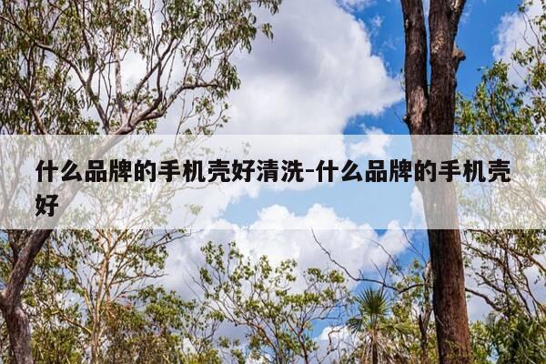 什么品牌的手机壳好清洗-什么品牌的手机壳好-第1张图片-优惠活动网