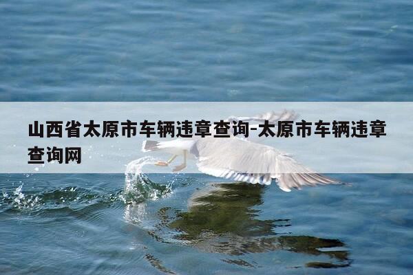 山西省太原市车辆违章查询-太原市车辆违章查询网-第1张图片-优惠活动网 山西省太原市车辆违章查询-太原市车辆违章查询网-第1张图片-优惠活动网