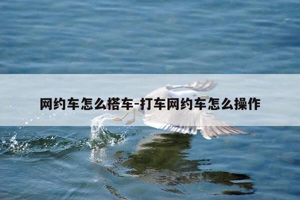 网约车怎么搭车-打车网约车怎么操作-第1张图片-优惠活动网 网约车怎么搭车-打车网约车怎么操作-第1张图片-优惠活动网