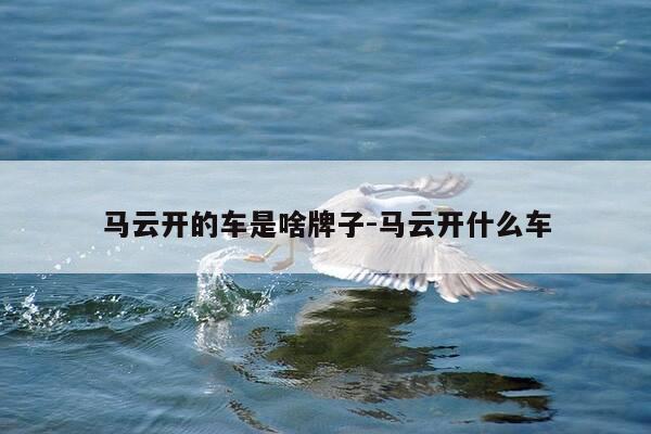 马云开的车是啥牌子-马云开什么车-第1张图片-优惠活动网 马云开的车是啥牌子-马云开什么车-第1张图片-优惠活动网