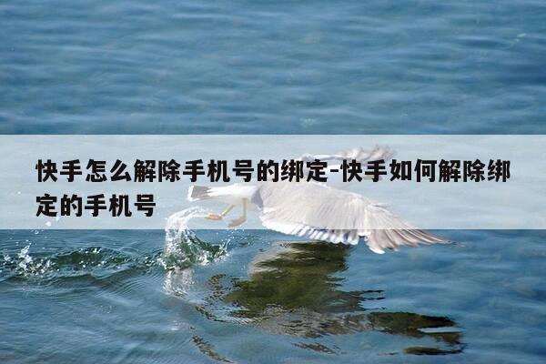快手怎么解除手机号的绑定-快手如何解除绑定的手机号-第1张图片-优惠活动网 快手怎么解除手机号的绑定-快手如何解除绑定的手机号-第1张图片-优惠活动网