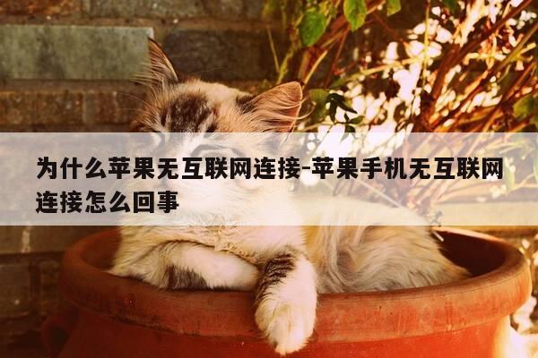 为什么苹果无互联网连接-苹果手机无互联网连接怎么回事-第1张图片-优惠活动网 为什么苹果无互联网连接-苹果手机无互联网连接怎么回事-第1张图片-优惠活动网