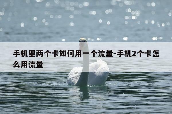 手机里两个卡如何用一个流量-手机2个卡怎么用流量-第1张图片-优惠活动网 手机里两个卡如何用一个流量-手机2个卡怎么用流量-第1张图片-优惠活动网