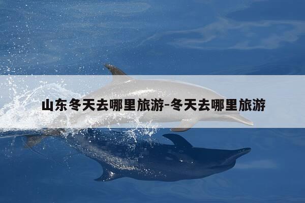 山东冬天去哪里旅游-冬天去哪里旅游-第1张图片-优惠活动网 山东冬天去哪里旅游-冬天去哪里旅游-第1张图片-优惠活动网