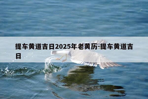 提车黄道吉日2025年老黄历-提车黄道吉日-第1张图片-优惠活动网
