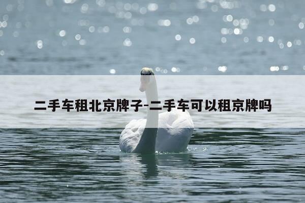 二手车租北京牌子-二手车可以租京牌吗-第1张图片-优惠活动网 二手车租北京牌子-二手车可以租京牌吗-第1张图片-优惠活动网