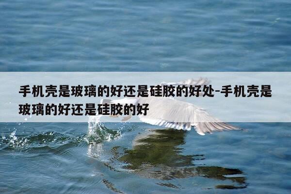 手机壳是玻璃的好还是硅胶的好处-手机壳是玻璃的好还是硅胶的好-第1张图片-优惠活动网 手机壳是玻璃的好还是硅胶的好处-手机壳是玻璃的好还是硅胶的好-第1张图片-优惠活动网