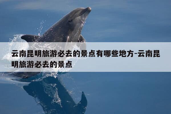 云南昆明旅游必去的景点有哪些地方-云南昆明旅游必去的景点-第1张图片-优惠活动网 云南昆明旅游必去的景点有哪些地方-云南昆明旅游必去的景点-第1张图片-优惠活动网