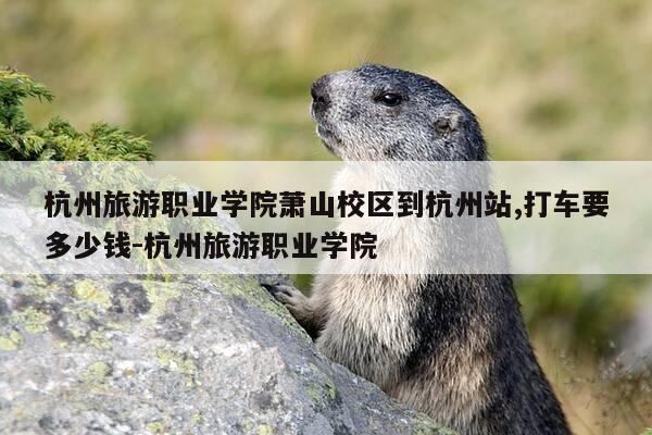 杭州旅游职业学院萧山校区到杭州站,打车要多少钱-杭州旅游职业学院-第1张图片-优惠活动网 杭州旅游职业学院萧山校区到杭州站,打车要多少钱-杭州旅游职业学院-第1张图片-优惠活动网