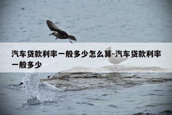 汽车贷款利率一般多少怎么算-汽车贷款利率一般多少-第1张图片-优惠活动网 汽车贷款利率一般多少怎么算-汽车贷款利率一般多少-第1张图片-优惠活动网