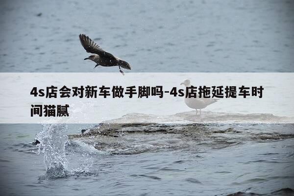 4s店会对新车做手脚吗-4s店拖延提车时间猫腻-第1张图片-优惠活动网