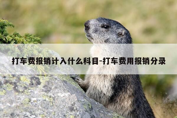 打车费报销计入什么科目-打车费用报销分录-第1张图片-优惠活动网 打车费报销计入什么科目-打车费用报销分录-第1张图片-优惠活动网