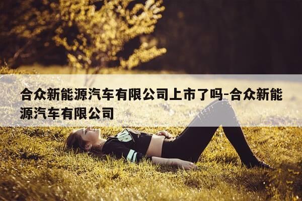 合众新能源汽车有限公司上市了吗-合众新能源汽车有限公司-第1张图片-优惠活动网