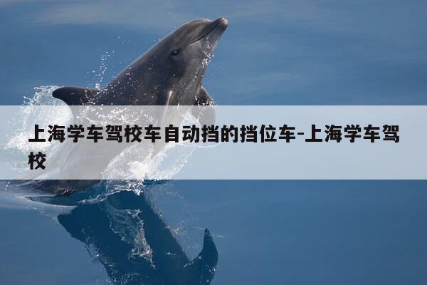 上海学车驾校车自动挡的挡位车-上海学车驾校-第1张图片-优惠活动网