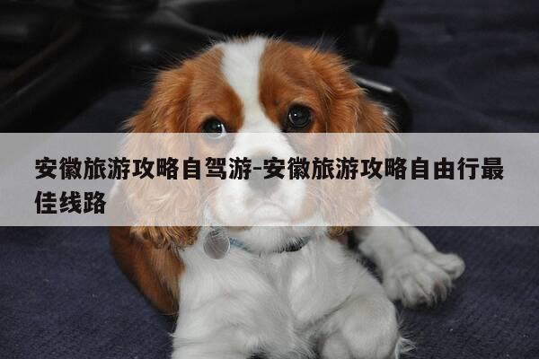 安徽旅游攻略自驾游-安徽旅游攻略自由行最佳线路-第1张图片-优惠活动网