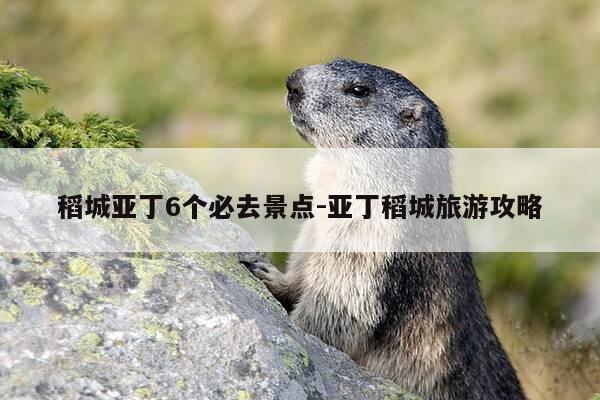 稻城亚丁6个必去景点-亚丁稻城旅游攻略-第1张图片-优惠活动网 稻城亚丁6个必去景点-亚丁稻城旅游攻略-第1张图片-优惠活动网