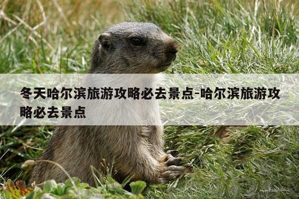 冬天哈尔滨旅游攻略必去景点-哈尔滨旅游攻略必去景点-第1张图片-优惠活动网 冬天哈尔滨旅游攻略必去景点-哈尔滨旅游攻略必去景点-第1张图片-优惠活动网