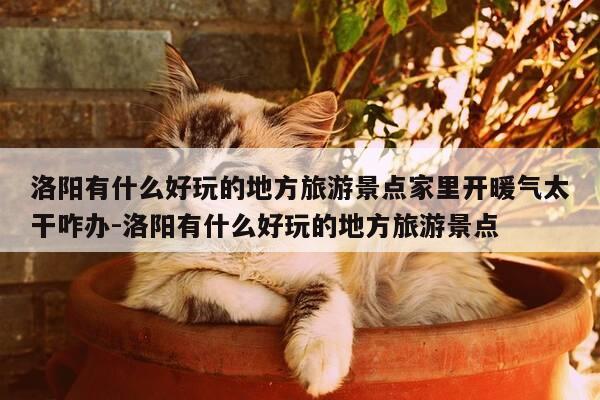 洛阳有什么好玩的地方旅游景点家里开暖气太干咋办-洛阳有什么好玩的地方旅游景点-第1张图片-优惠活动网 洛阳有什么好玩的地方旅游景点家里开暖气太干咋办-洛阳有什么好玩的地方旅游景点-第1张图片-优惠活动网