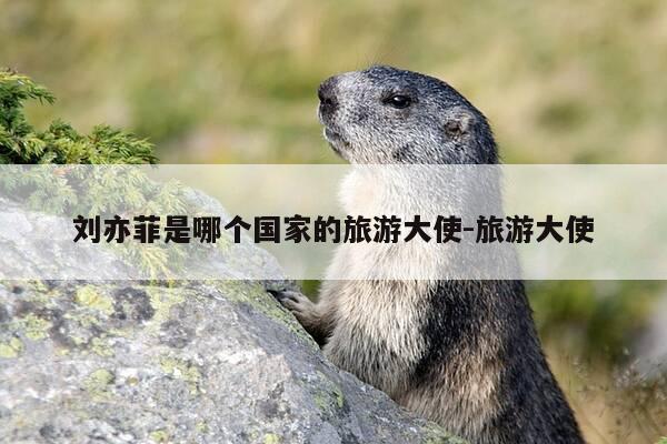 刘亦菲是哪个国家的旅游大使-旅游大使-第1张图片-优惠活动网 刘亦菲是哪个国家的旅游大使-旅游大使-第1张图片-优惠活动网