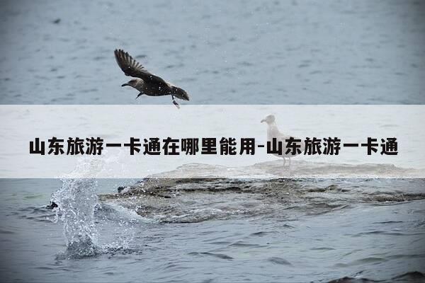 山东旅游一卡通在哪里能用-山东旅游一卡通-第1张图片-优惠活动网