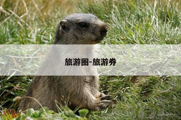 旅游圈-旅游券-第1张图片-优惠活动网 旅游圈-旅游券-第1张图片-优惠活动网