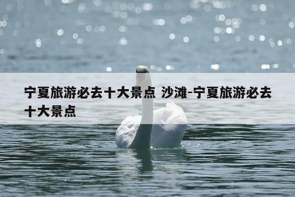 宁夏旅游必去十大景点 沙滩-宁夏旅游必去十大景点-第1张图片-优惠活动网