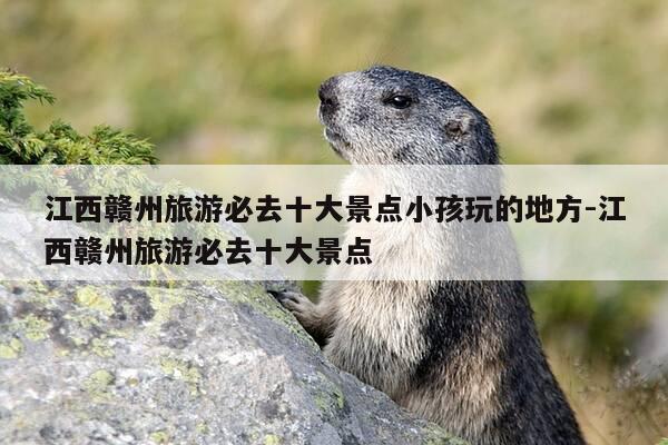 江西赣州旅游必去十大景点小孩玩的地方-江西赣州旅游必去十大景点-第1张图片-优惠活动网