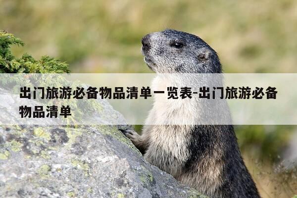 出门旅游必备物品清单一览表-出门旅游必备物品清单-第1张图片-优惠活动网