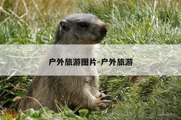 户外旅游图片-户外旅游-第1张图片-优惠活动网 户外旅游图片-户外旅游-第1张图片-优惠活动网