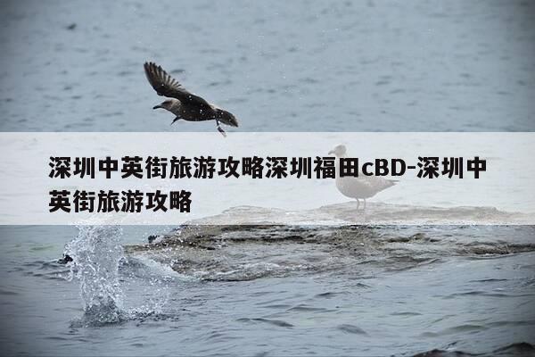 深圳中英街旅游攻略深圳福田cBD-深圳中英街旅游攻略-第1张图片-优惠活动网